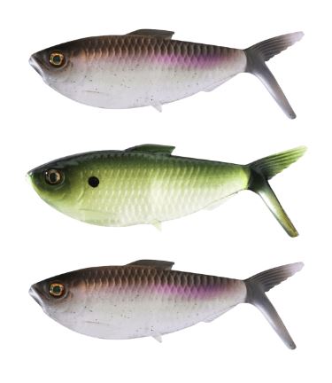 13 Fishing The Dine Swimbait   American Shad