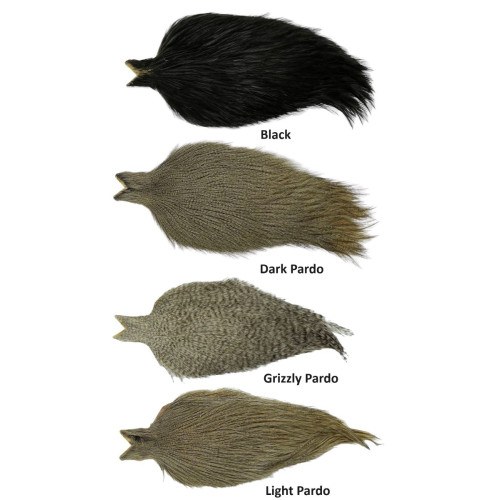 Whiting Coq De Leon Cape